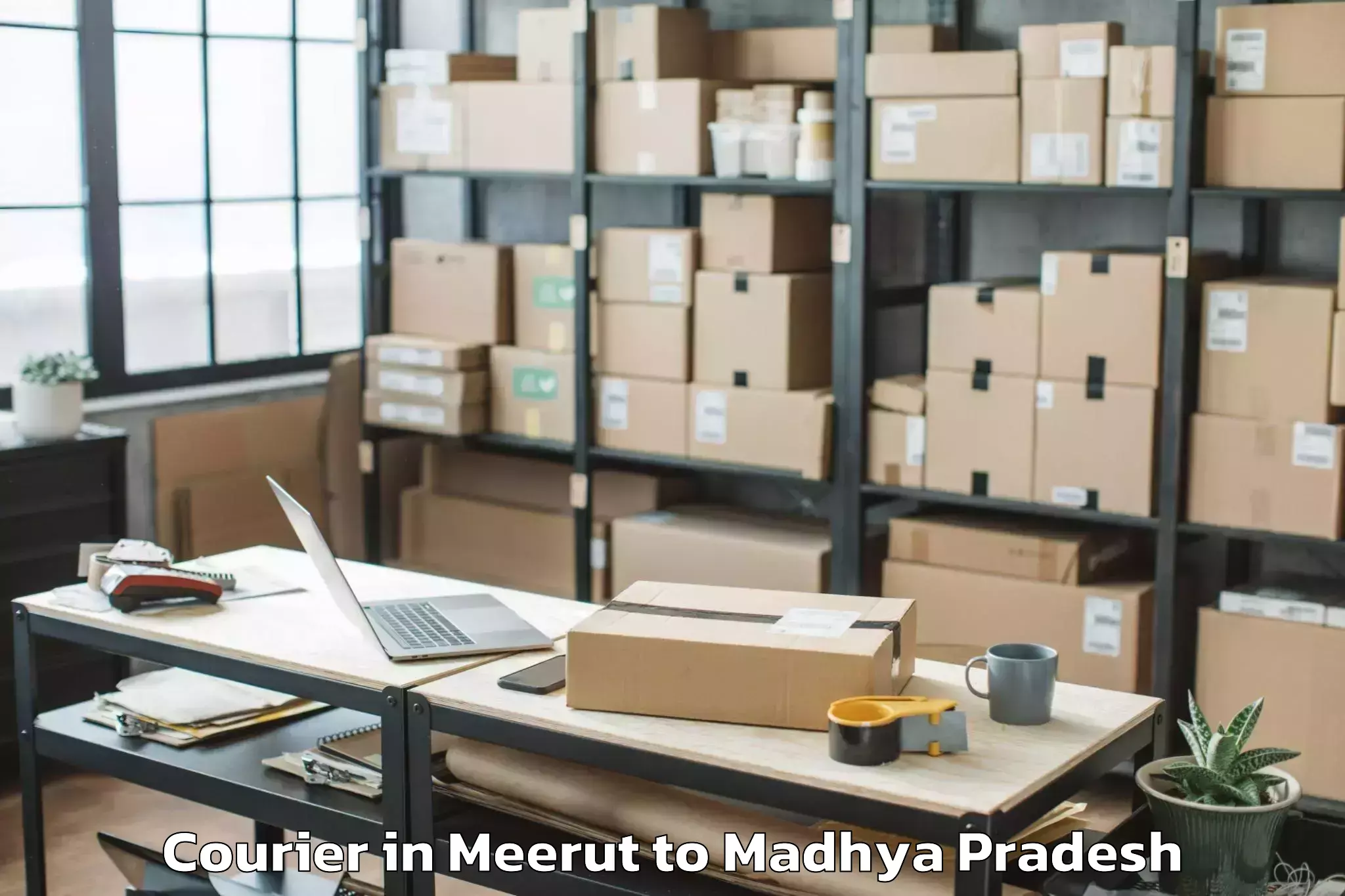 Hassle-Free Meerut to Rajmata Vijayaraje Scindia Kri Courier